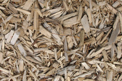 biomass boilers Cefn